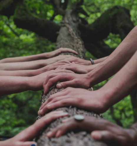 Mains sur un arbre